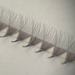10D Rapid Promades - 500 Fans Single Sizes
